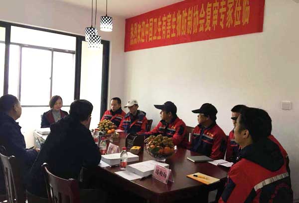 专家指导.jpg