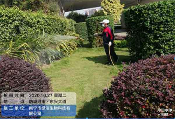 白蚁防治怎么做比较有效果?可以找专业公司吗