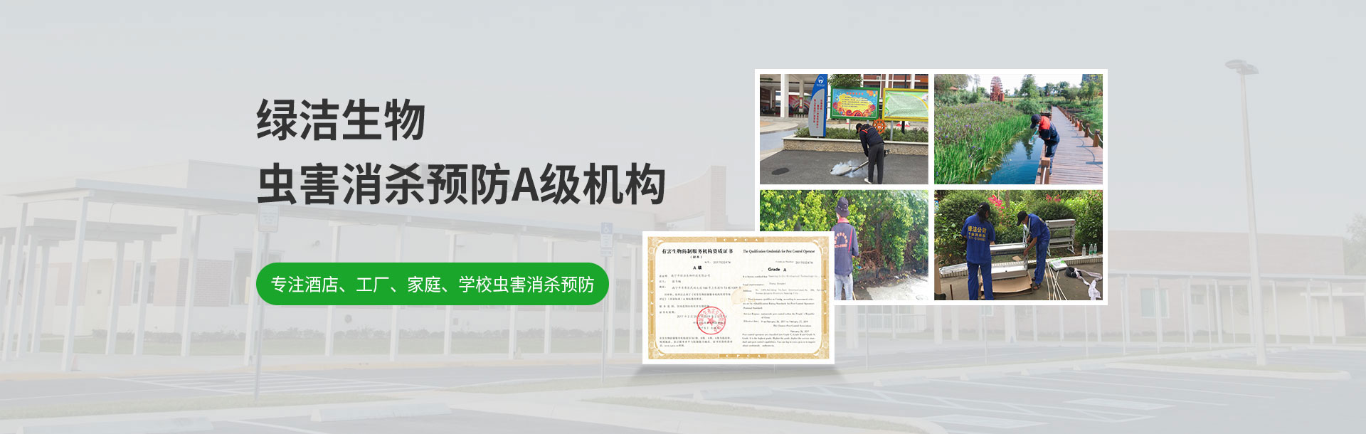 南宁绿洁生物除蟑螂公司专注酒店、工厂、家庭、学校虫害消杀预防