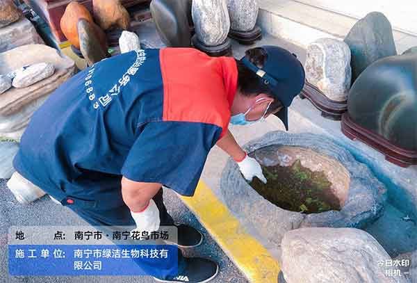 灭老鼠公司怎么进行选择？应注意什么