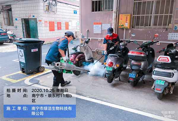 找公司进行蟑螂防治要了解哪些问题?