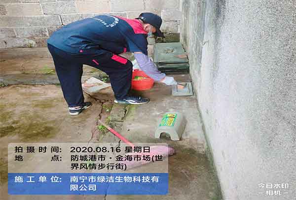 老鼠防治哪些方法比较有效?找专业公司怎么样