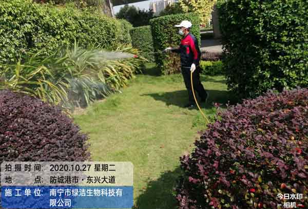 消杀公司哪家好?如何选择正规公司?
