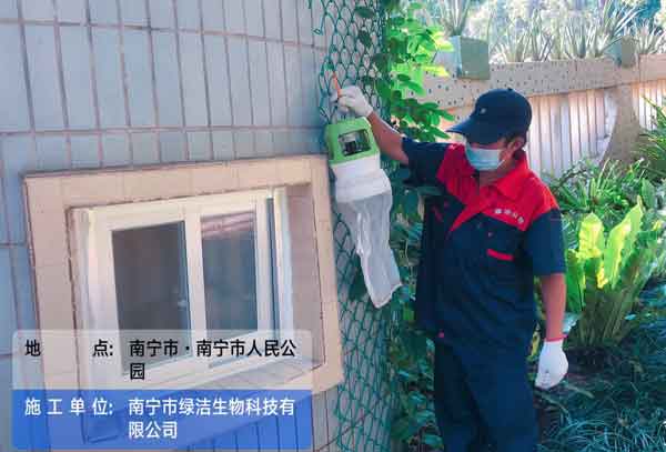 灭白蚁公司哪个好