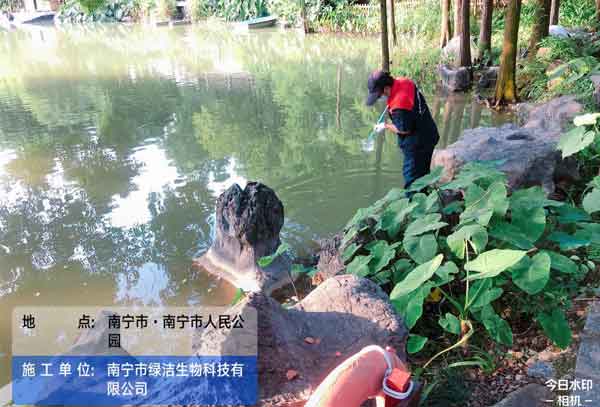 除四害公司