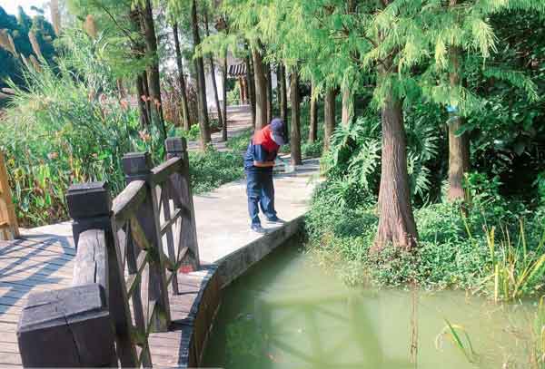 病媒生物防制公司该怎么选?价格很高吗
