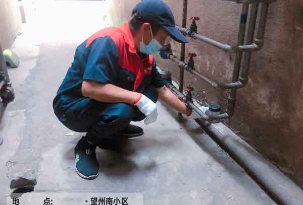 消杀除四害有什么方式?需要注意什么?