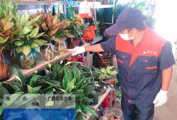 专业灭四害公司如何进行选择?服务是否优质?