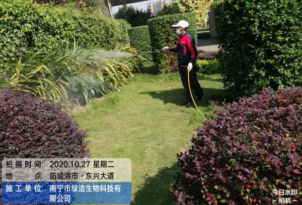 灭四害服务公司有什么优势?为何受欢迎?