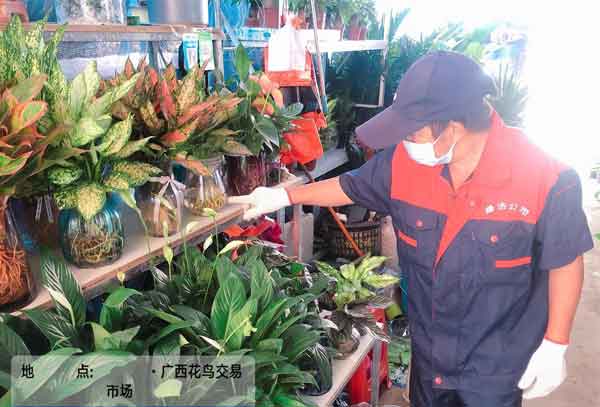 灭蟑螂公司有效果吗?能保证安全吗?