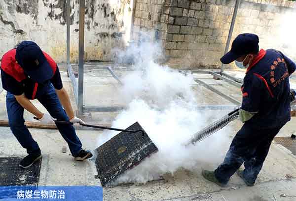 什么方法驱蟑螂最有效?可以选择专业公司吗?