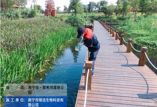 专业除四害公司能够给我们带来什么帮助?
