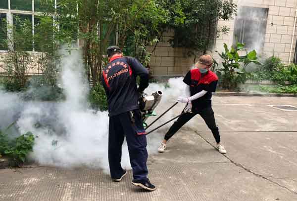 专业除四害服务有哪些优势?