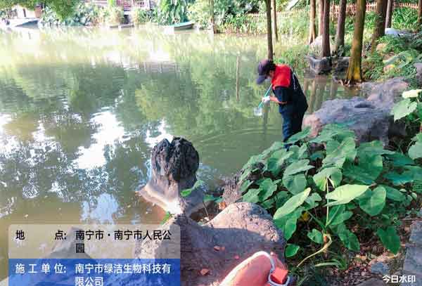 消杀公司的选择标准有以下几个方面
