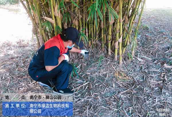 南宁消杀公司的服务效果如何?