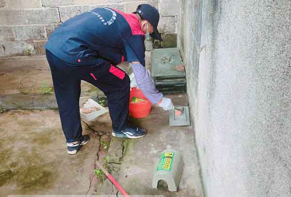 老鼠怎么灭?哪种方法效果最好?