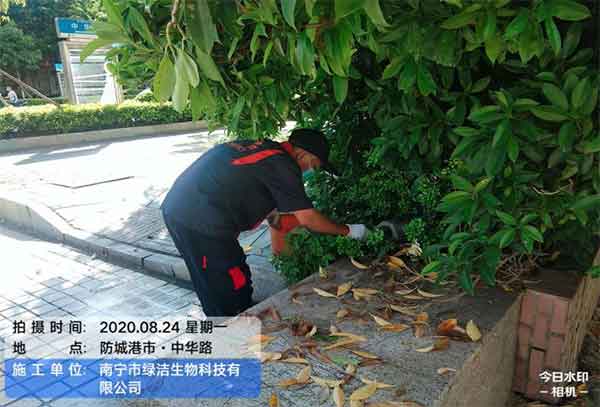 灭老鼠公司为什么会受欢迎?它的服务怎么样?