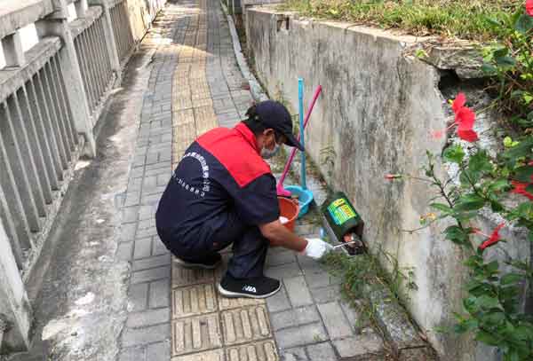 如何灭老鼠效果更好?方法详解