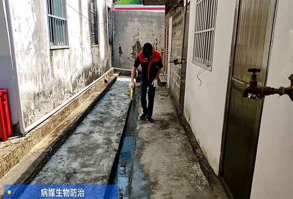 灭白蚁的公司要符合哪些标准才能选择