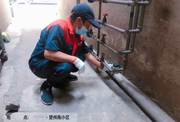 专业实力南宁杀虫公司，治标治本彻底消杀